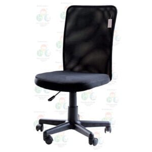 C39- Nylon Armless Height-Adjustable Revolving Chair (Black)