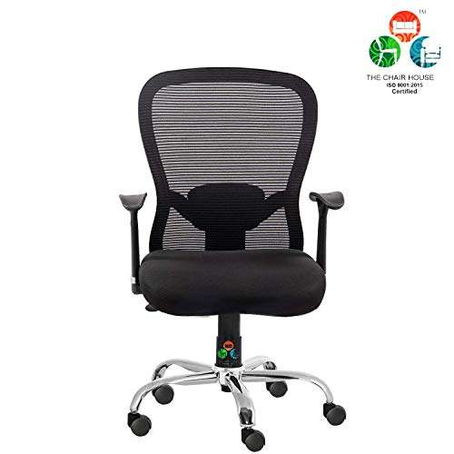 Ergonomic chair adjustable online lumbar support