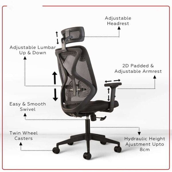 C76  Argon Ergonomic High Back Mesh Chair with 2D Armrests & Pneumatic Hydraulic (Black)