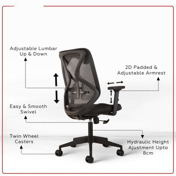 C77 Mid-Back Ergonomic Mesh Office Chair | Pneumatic Hydraulic, 2D Adjustable Armrests (Black)