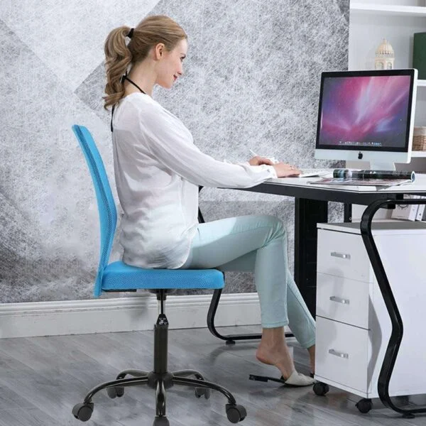 C64  Ergonomic Mid-Back Mesh Office Chair | Swivel Desk Chair with Back Support (Ocean)