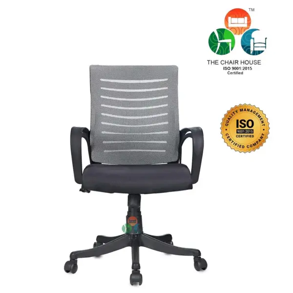 C65 Boom Low-Back Ergonomic Mesh Desk Chair (Grey & Black)