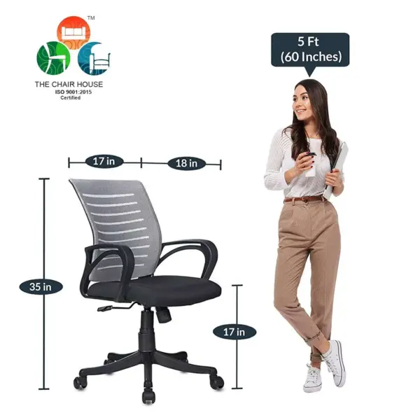 C65 Boom Low-Back Ergonomic Mesh Desk Chair (Grey & Black)