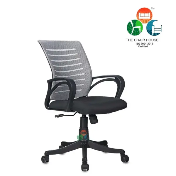 C65 Boom Low-Back Ergonomic Mesh Desk Chair (Grey & Black)