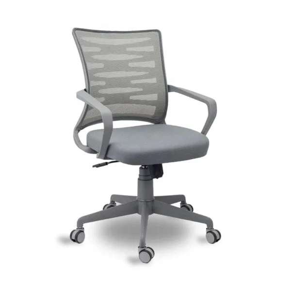C94 Rodeo Low-Back Ergonomic Mesh Desk Chair | Grey Frame & Color