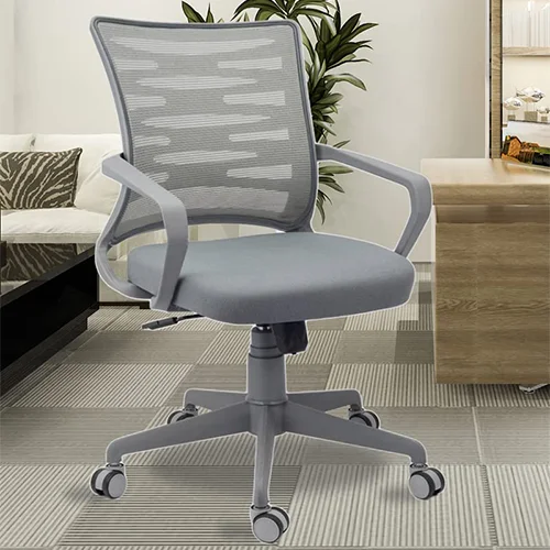 Rodeo Low Back Royal Ergonomic Desk Mesh Chair In Grey Color