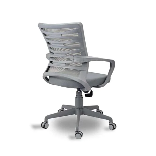 C94 Rodeo Low-Back Ergonomic Mesh Desk Chair | Grey Frame & Color