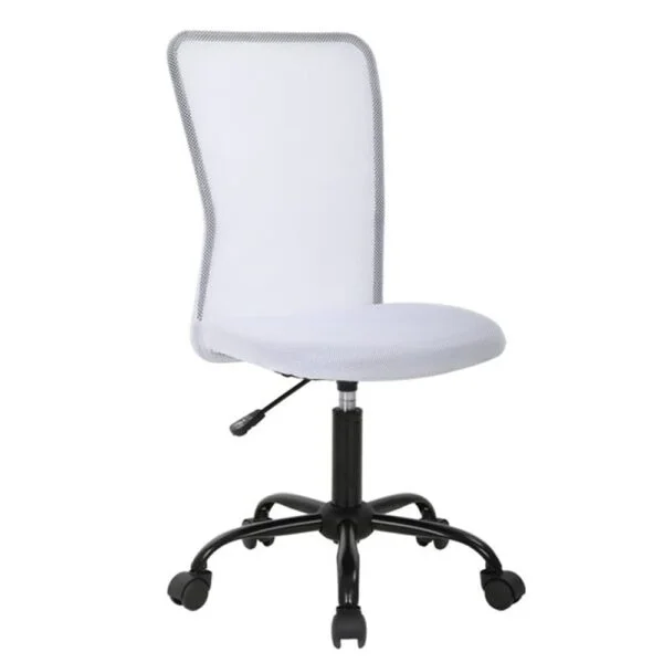 C102 Armless Mesh Chair | Work-from-Home & Office | Study & Computer Chair (White)