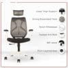 C75 - Argon Ergonomic High Back Chair for Office & Home with Seat Slider Mechanism & Nylon Base | 2D Padded Adjustable Arm Rest (High Back white)