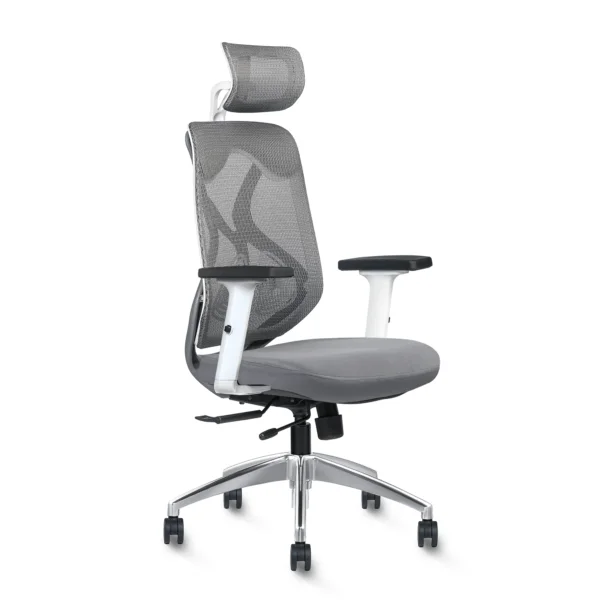 Argon High Back Ergonomic Aluminum Base Mesh Home & Office Chair Imported Pneumatic Hydraulic | 2D Padded Adjustable ( Grey Chair )