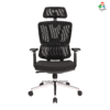 C154- VENZO High Back Ergonomic Mesh Office Chair with Auto Adjustable Lumbar Support, 3D Armrests, Multi-Tilt Lock Mechanism & Strong Chrome Base - (Black)