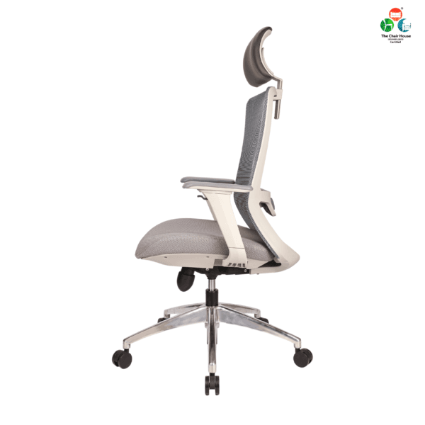 C156 - DELIGHT Hight Back Chair for Office Work at Home, Ergonomic Chair, Computer Chair, 4D Adjustable Arm, 1D Headrest & 2D Lumbar, Spine Support