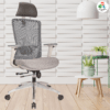 C156 - DELIGHT Hight Back Chair for Office Work at Home, Ergonomic Chair, Computer Chair, 4D Adjustable Arm, 1D Headrest & 2D Lumbar, Spine Support