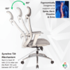 C156 - DELIGHT Hight Back Chair for Office Work at Home, Ergonomic Chair, Computer Chair, 4D Adjustable Arm, 1D Headrest & 2D Lumbar, Spine Support