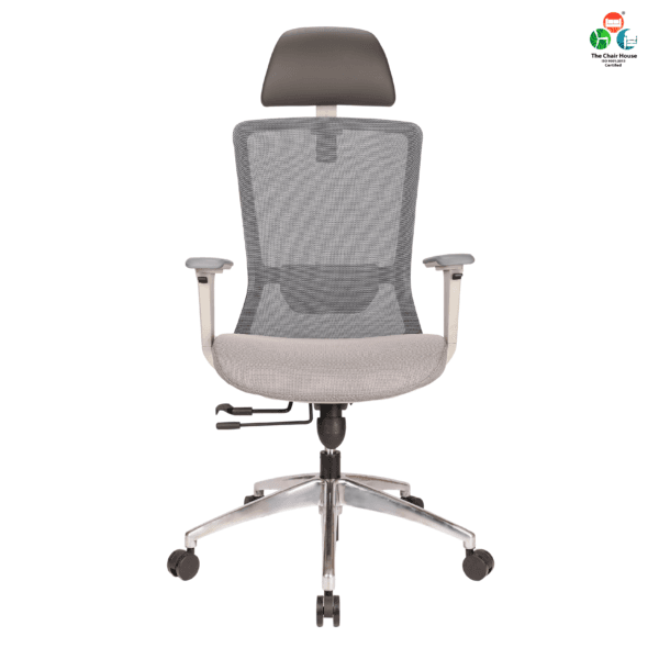 C156 - DELIGHT Hight Back Chair for Office Work at Home, Ergonomic Chair, Computer Chair, 4D Adjustable Arm, 1D Headrest & 2D Lumbar, Spine Support