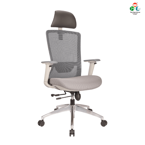 C156 - DELIGHT Hight Back Chair for Office Work at Home, Ergonomic Chair, Computer Chair, 4D Adjustable Arm, 1D Headrest & 2D Lumbar, Spine Support