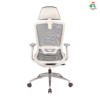 C156 - DELIGHT Hight Back Chair for Office Work at Home, Ergonomic Chair, Computer Chair, 4D Adjustable Arm, 1D Headrest & 2D Lumbar, Spine Support