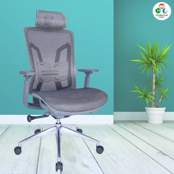C159 - INOX Ergonomic Mesh High Back Executive Office Chair for Maximum Comfort Mesh Seat , 3D Armrests , Multi-Tilt Lock & Seat Sliding Mechanism Aluminum Stand 5 Years warranty 12 C159 - INOX Ergonomic Mesh High Back Executive Office Chair for Maximum Comfort Mesh Seat , 3D Armrests , Multi-Tilt Lock 1