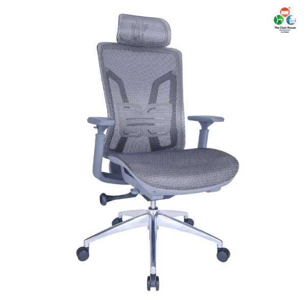 C159 - INOX Ergonomic Mesh High Back Executive Office Chair for Maximum Comfort Mesh Seat , 3D Armrests , Multi-Tilt Lock 1