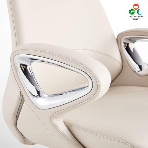 C165 – Delta High Back Premium Executive Comfort Chair Designed for Efficiency and Elegance ( Beige color ) 5 Year Warranty