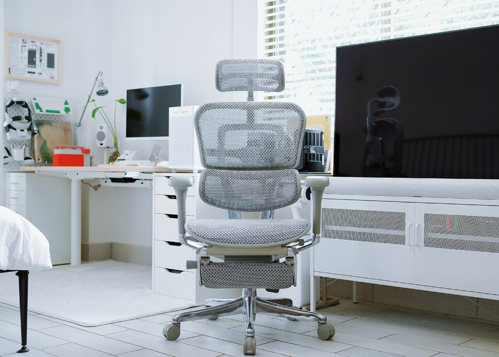 Ergohuman Xpert ELITE 2.0 with Footres – Premium Mesh Ergonomic Chair with Adjustable Features (Grey)