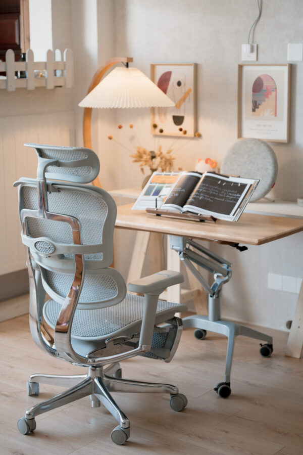 Ergohuman Xpert ELITE 2.0 with Footres – Premium Mesh Ergonomic Chair with Adjustable Features (Grey)