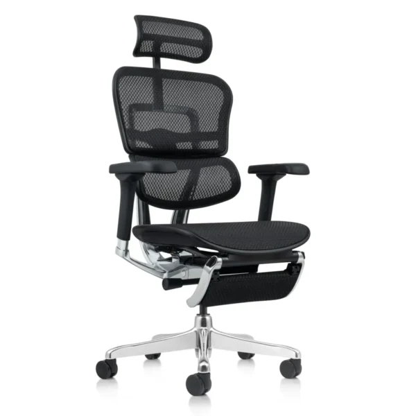 Ergohuman Xpert ELITE 2.0 with Footres – Premium Mesh Ergonomic Chair with Adjustable Features (Black) 6 Ergohuman Xpert ELITE 2.0 with Footres – Premium Mesh Ergonomic Chair with Adjustable Features (Grey)
