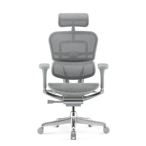 Ergohuman Xpert ELITE 2.0 – Premium Mesh Ergonomic Chair with Adjustable Features (Grey)