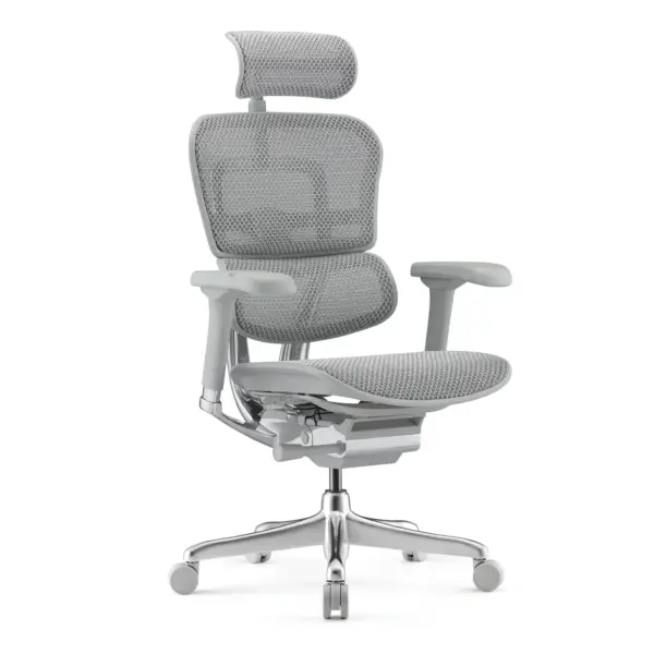 Ergohuman Xpert ELITE 2.0 – Premium Mesh Ergonomic Chair with Adjustable Features (Grey) - Image 2