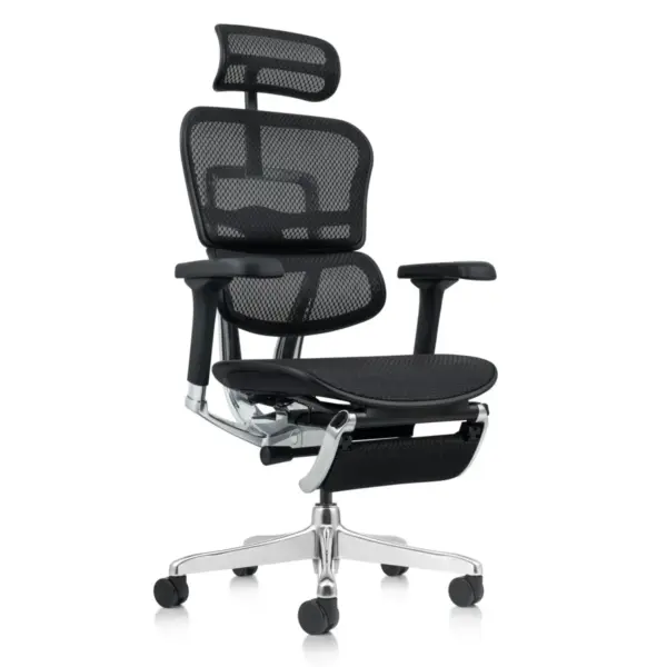 Black Ergohuman Xpert Elite 2.0 chair in a modern work from home desk setup