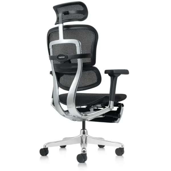 Ergohuman chair bionic spine design and breathable Korean mesh backrest