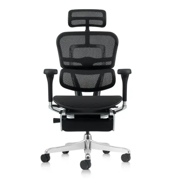 Ergohuman Xpert Elite 2.0 ergonomic office chair in black with mesh back