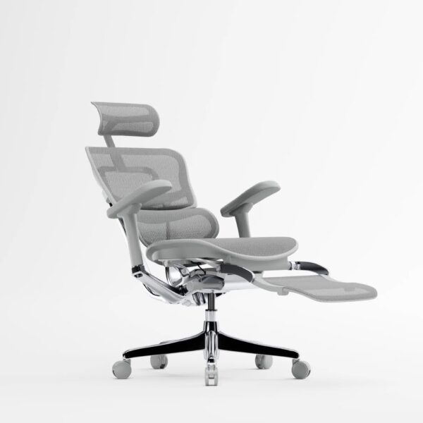 Bionic spine design and breathable Grey Korean mesh backrest on Ergohuman chair