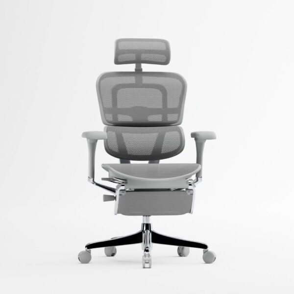 5D adjustable armrests and single lever control on the Grey Ergohuman Xpert Elite chair