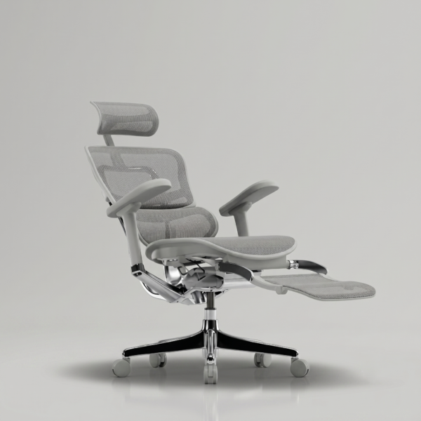 Ergohuman Xpert ELITE 2.0 with Footrest– Premium Mesh Ergonomic Chair with Adjustable Features (Grey) 7 Ergonomic Chair 5D Adjustable Armrests Detail