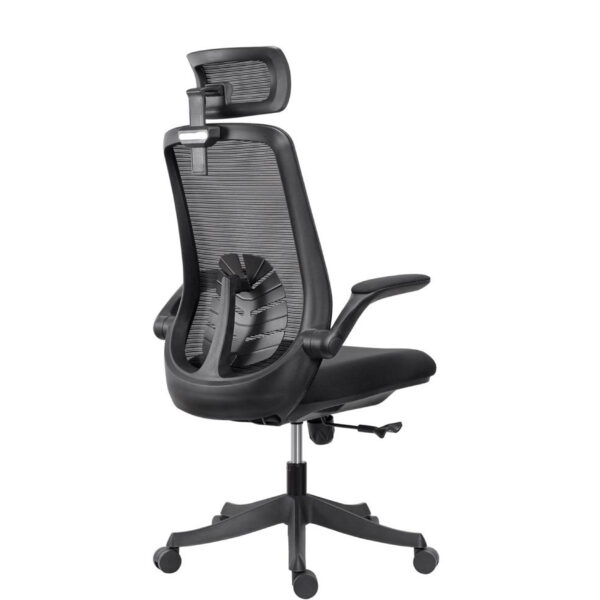 Florra High Back Ergonomic Chair – Mesh Seat, Adjustable Headrest, Flip-Up Armrests Black Front.jpeg