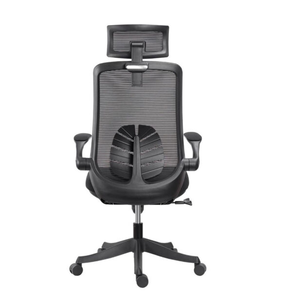Florra High Back Ergonomic Chair – Mesh Seat, Adjustable Headrest, Flip-Up Armrests Black Front.jpeg