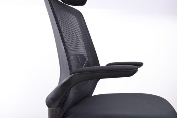 Florra High Back Ergonomic Chair – Mesh Seat, Adjustable Headrest, Flip-Up Armrests Black Front.jpeg