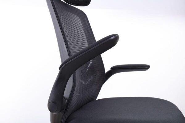 Florra High Back Ergonomic Chair – Mesh Seat, Adjustable Headrest, Flip-Up Armrests Black Front.jpeg