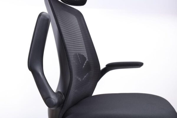 Florra High Back Ergonomic Chair – Mesh Seat, Adjustable Headrest, Flip-Up Armrests Black Front.jpeg