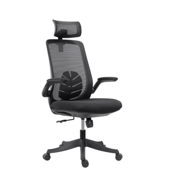 Florra High Back Ergonomic Chair – Mesh Seat, Adjustable Headrest, Flip-Up Armrests Black Front.jpeg