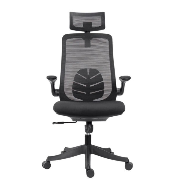 Florra High Back Ergonomic Chair – Mesh Seat, Adjustable Headrest, Flip-Up Armrests Black Front.jpeg