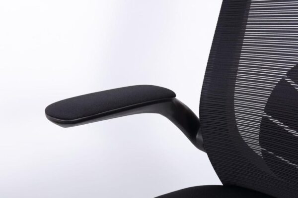 Florra High Back Ergonomic Chair – Mesh Seat, Adjustable Headrest, Flip-Up Armrests Black Front.jpeg