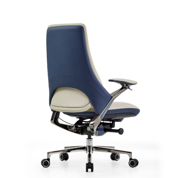 AERION-Medium-Back-Ergonomic-Executive-Model-Imported-Leather-Titanium-Gun-Metal-Finish-BIFMA-Certified-Colour-Beige-Blue1.jpg
