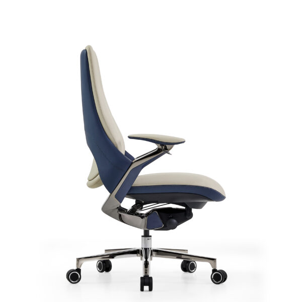 AERION-Medium-Back-Ergonomic-Executive-Model-Imported-Leather-Titanium-Gun-Metal-Finish-BIFMA-Certified-Colour-Beige-Blue1.jpg