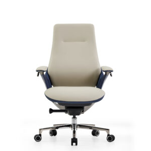 Aerion medium-back beige and blue leather executive chair