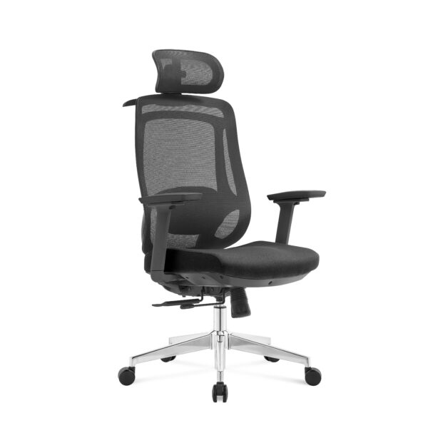 Aeris Comfort Pro Ergonomic Executive Chair – 3D Adjustable Armrests, 4-Position Synchronized Recline, 5 Years Warranty Colour Black