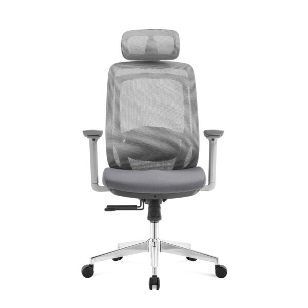 Aeris-Comfort-Pro-Ergonomic-Executive-Chair-–-3D-Adjustable-Armrests-4-Position-Synchronized-Recline-5-Years-Warranty-Colour-Grey-4.jpg
