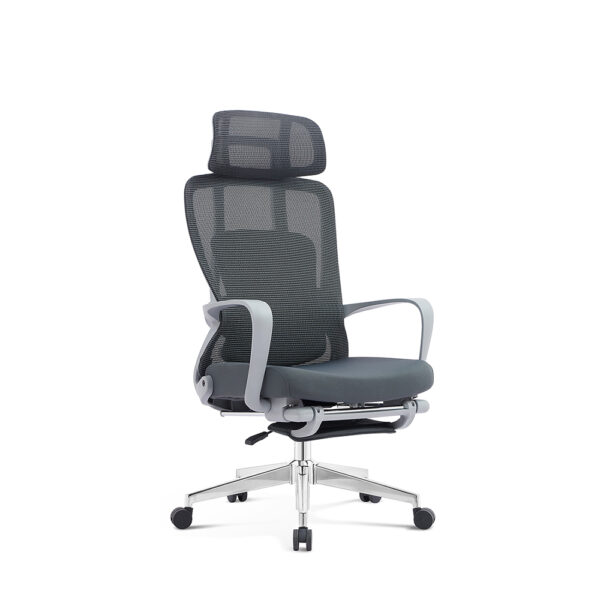 ErgoRest Mesh Recliner Office Chair with Footrest, Adjustable Headrest & Lumbar Support,