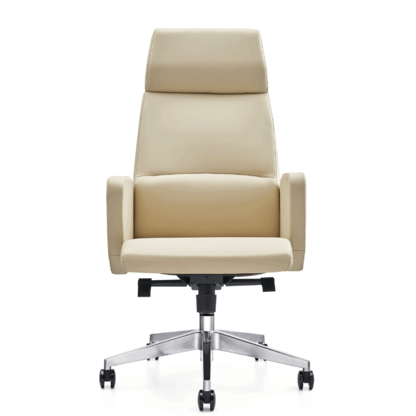 Veridian High-Back Executive Office Chair – Bent Plywood Back, Composite Leather, Synchro Mechanism 5-Year Warranty2.JPG